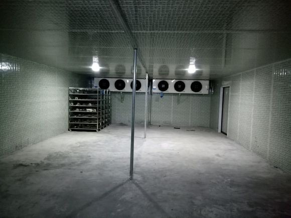 拆迁大型冷库北京废旧冷库回收企业