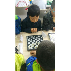 秦皇岛国际象棋俱乐部推荐 金哲国际象棋培训