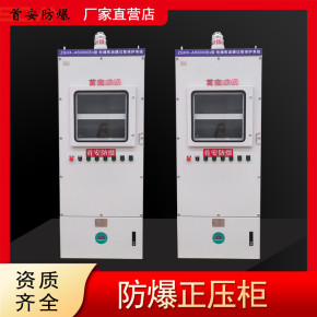 防爆正压柜 前后四开门防爆正压柜 功能齐全
