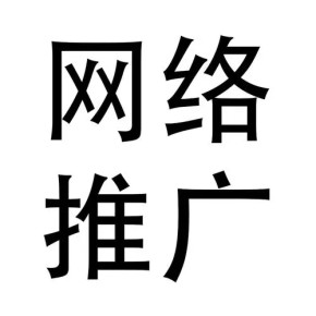 镇平县企业产品网络推广托管外包公司