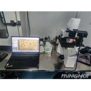 倒置明场显微镜解决方案-明慧公司