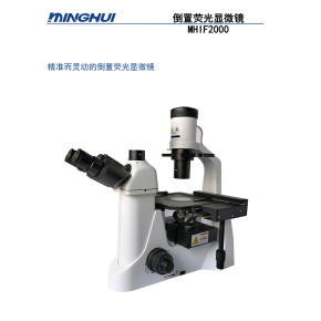 三目倒置荧光显微镜用于饮用水、乳制品微生物检测